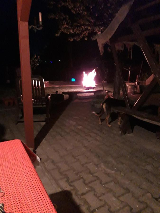 Ferienwohnung Erz-Hostel Thermalbad Wiesenbad Kültér fotó